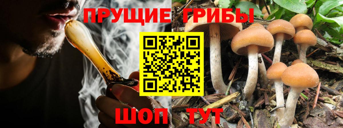 Галлюциногенные грибы MAGIC MUSHROOMS Лянтор